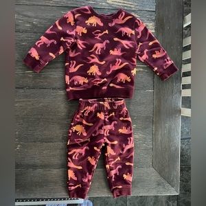 Cat & Jack 18 m dinosaur sweatshirt jogger set